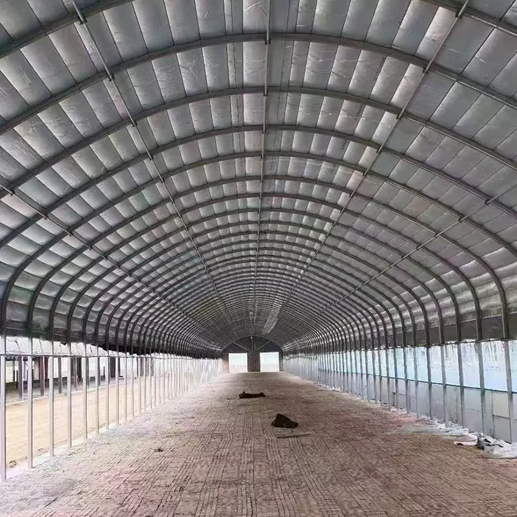 Galvanized Ferro CONSERVATORIUM Pipe